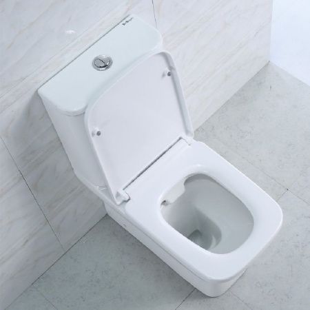 Унитаз компакт BelBagno Monica BB805CPR без бачка и сиденья