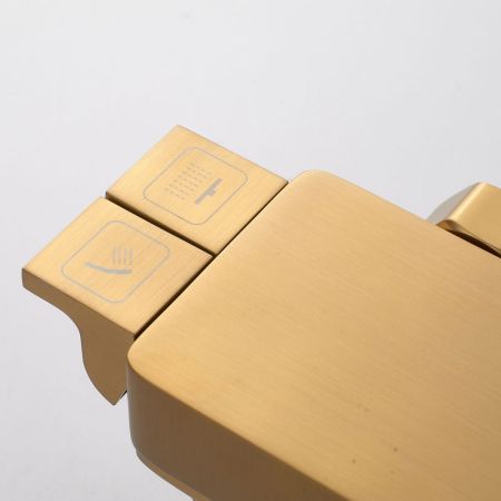 Душевая система Shevanik S4226G, золотой сатин