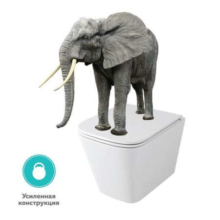 Унитаз подвесной безободковый OWL Vatter Ruta-H mini (Slim) с сиденьем DP микролифт