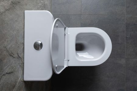 Чаша напольного унитаза Allen Brau Priority 4.31003.20 белый, артикул 4.31003.20