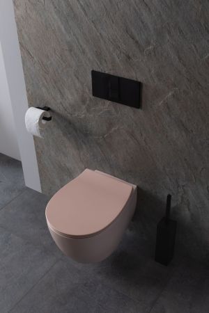 Чаша подвесного унитаза Allen Brau Fantasy 4.11004.SM розовый, артикул 4.11004.SM