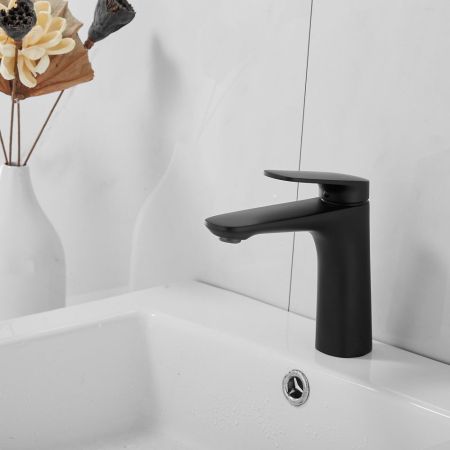 Смеситель для раковины Raffine F0185H, черный