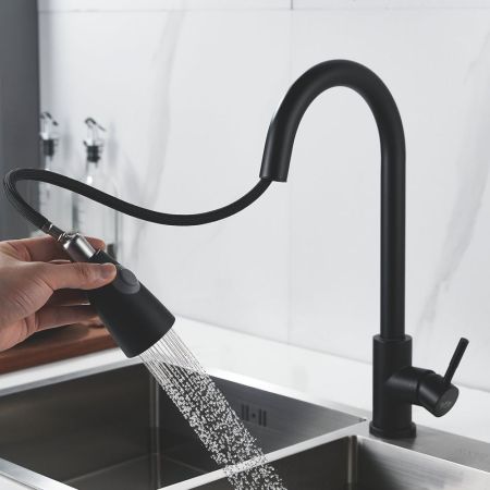 Смеситель для кухни с выдвижным изливом Raffine F213H, черный