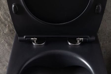 Чаша подвесного унитаза Allen Brau Reality 4.32006.31 черный матовый, артикул 4.32006.31