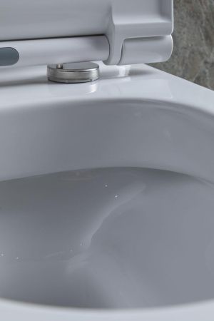 Чаша напольного унитаза Allen Brau Priority 4.31003.20 белый, артикул 4.31003.20