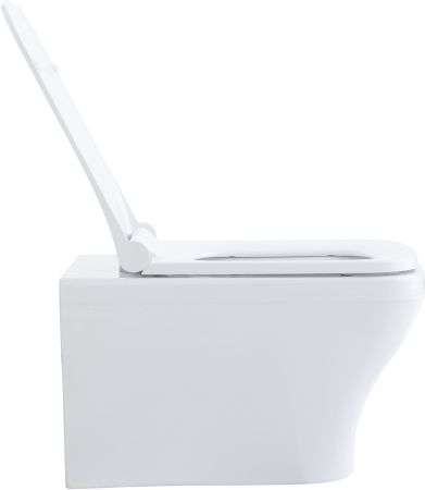 Чаша подвесного унитаза Allen Brau Infinity 4.21011.20 белый глянец, артикул 4.21011.20