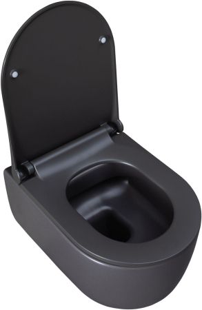 Чаша подвесного унитаза Allen Brau Priority 4.31002.AN антрацит, артикул 4.31002.AN