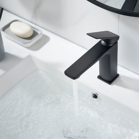 Смеситель для раковины Shevanik S8901H-1, черный