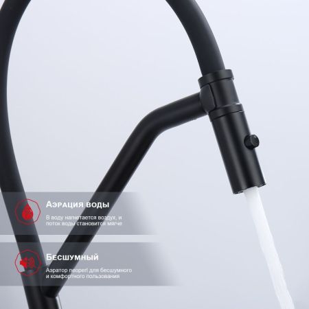 Смеситель для кухни со съемным изливом на магните Raglo R86.41.06, черный