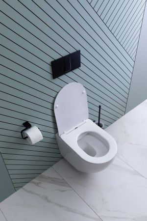 Унитаз подвесной Aquanet Rimless Cetus 2.0 W LX-1901, артикул Cetus 2.0 W