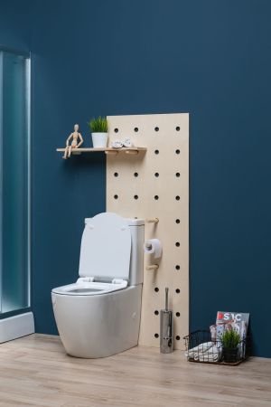 Чаша напольного унитаза Aquanet Rimless Cetus-C1 BL-102N-TPT