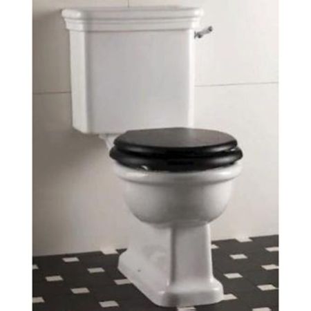 Devon Etoile Унитаз моноблок (50х30см), цвет: белый, артикул IBWCETCM