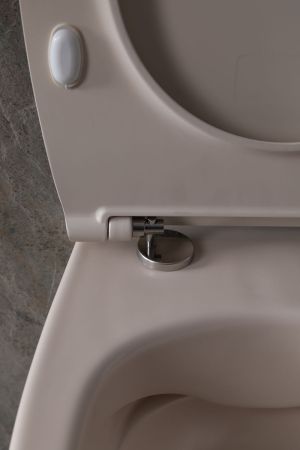 Чаша подвесного унитаза Allen Brau Fantasy 4.11004.IV айвори, артикул 4.11004.IV