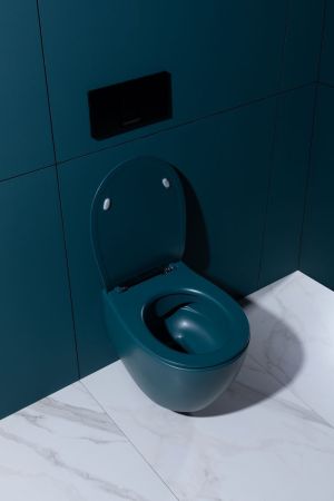 Крышка-сиденье для унитаза Allen Brau Fantasy Soft-Close 4.11005.PT петроль, артикул 4.11005.PT