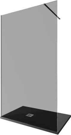 Душевая перегородка Allen Brau Infinity 1 160 3.21032.BA.T серебро браш, артикул 3.21032.BA.T