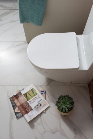 Чаша напольного унитаза Aquanet Rimless Cetus 2.0 C1 LX-2903