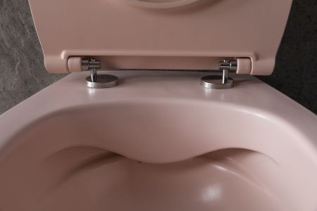 Чаша подвесного унитаза Allen Brau Fantasy 4.11004.SM розовый, артикул 4.11004.SM