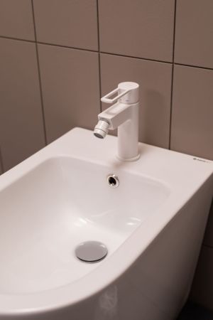 Чаша напольного унитаза Aquanet Rimless Cetus-C1 BL-102N-TPT