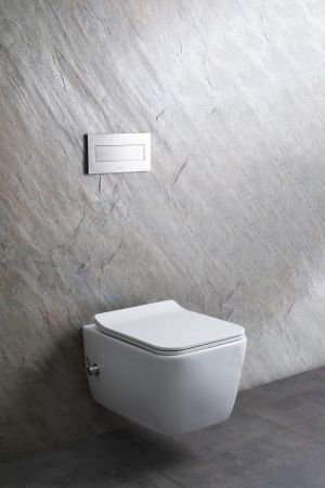 Чаша подвесного унитаза Allen Brau Liberty 4.33009.20 белый, артикул 4.33009.20