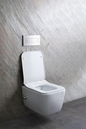 Чаша подвесного унитаза Allen Brau Liberty 4.33009.20 белый, артикул 4.33009.20