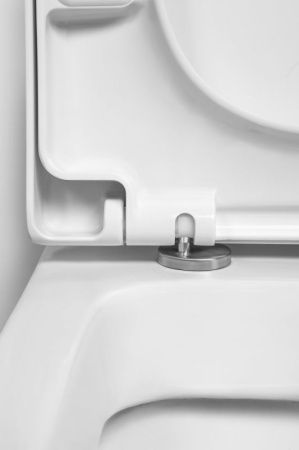 C701738SC Spirit V2.0 подвесной унитаз с сиденьем микролифт C701738SC Spirit V2.0 подвесной унитаз с сиденьем микролифт