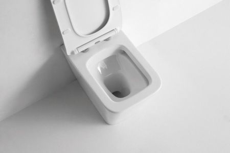 Унитаз приставной CeramaLux 3170