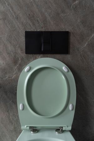 Чаша подвесного унитаза Allen Brau Fantasy 4.11004.MT мятный, артикул 4.11004.MT