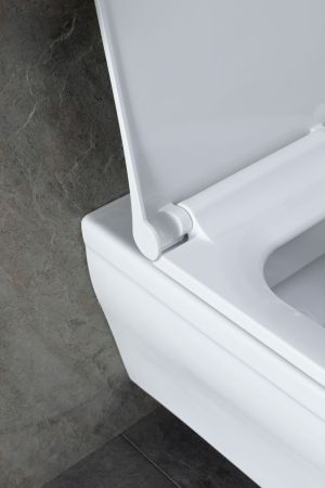 Чаша подвесного унитаза Allen Brau Infinity 4.21011.20 белый глянец, артикул 4.21011.20