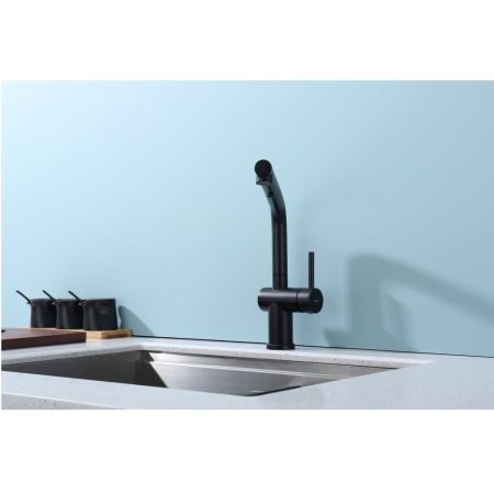 Смеситель для кухни с выдвижным изливом Raglo R86.49.06, черный, артикул R86.49.06