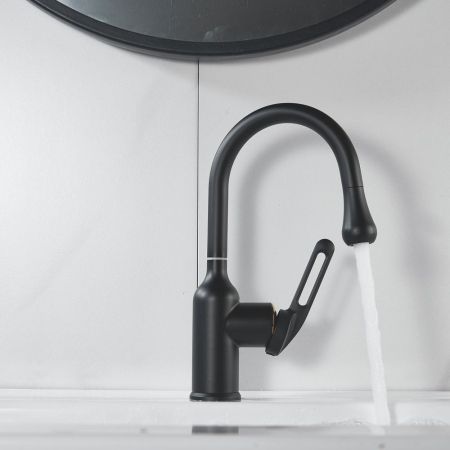 Смеситель для раковины Raffine F101H, черный