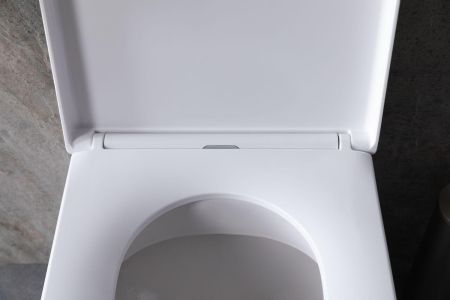 Чаша приставного унитаза Allen Brau Infinity 4.21003.20 белый глянец, артикул 4.21003.20