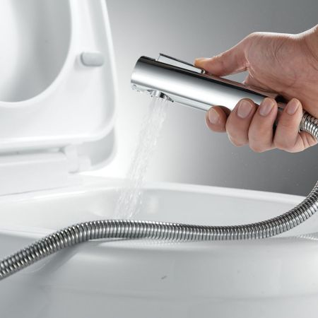 Гигиенический душ со смесителем Raffine F0599-1, хром