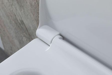 Чаша подвесного унитаза Allen Brau Priority 4.31002.20 белый глянец, артикул 4.31002.20