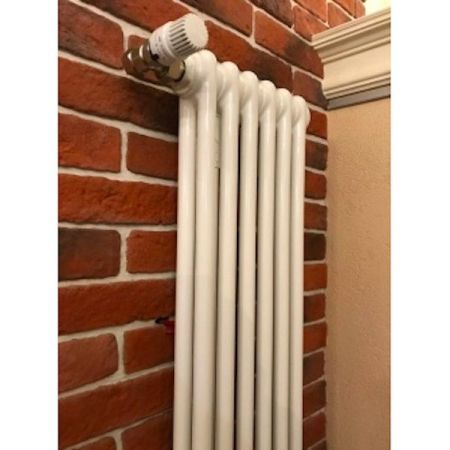 Стальной радиатор Arbonia 2180/06 6 секций с боковым подключением, артикул 2180/06