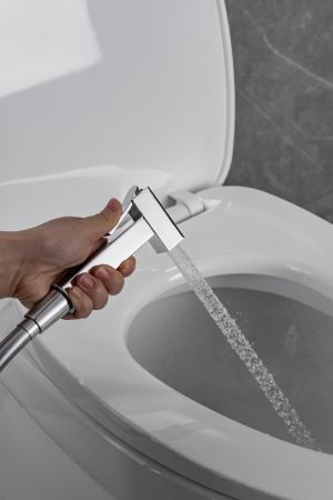 Смеситель с гигиеническим душем Allen Brau Infinity 5.21005-00 (с внутренней частью) хром, артикул 5.21005-00