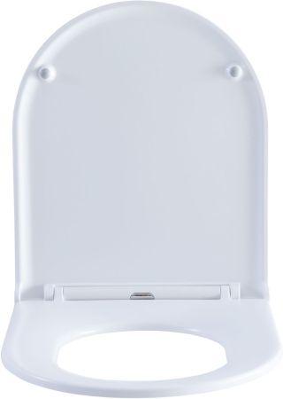Сиденье для унитаза Aquanet Lake белый