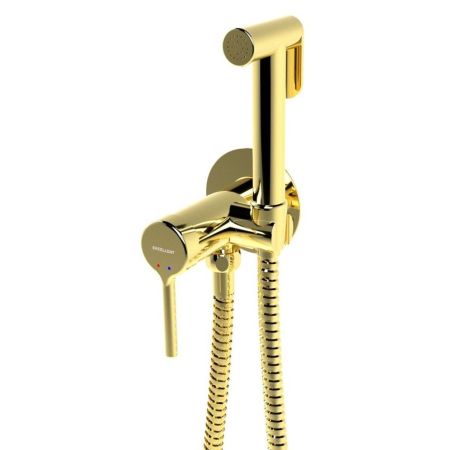 Смеситель для биде скрытого монтажа EXCELLENT Pi AREX.1204GL (золото)