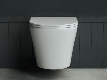 Подвесной унитаз Rimless CN3011, артикул CN3011