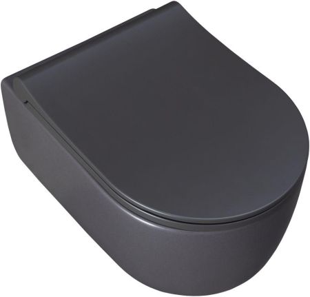 Чаша подвесного унитаза Allen Brau Priority 4.31002.AN антрацит, артикул 4.31002.AN