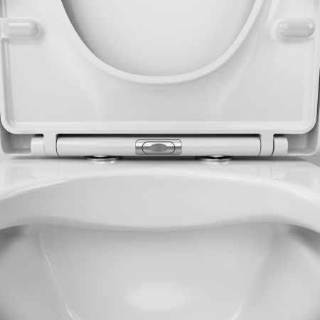 C85A8601SC X-joy унитазкомпакт без ободка с сиденьем микролифт