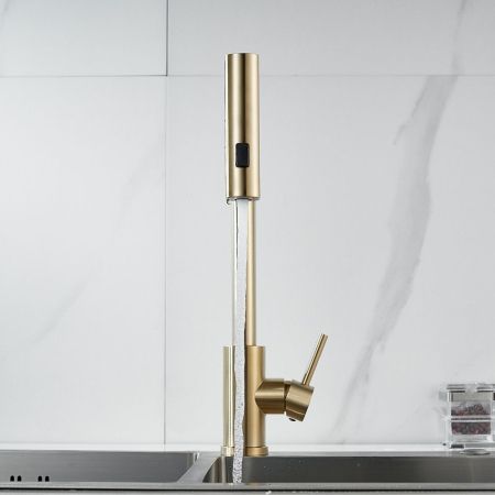 Смеситель для кухни с мультифункциональным изливом Raffine F203G, золотой сатин
