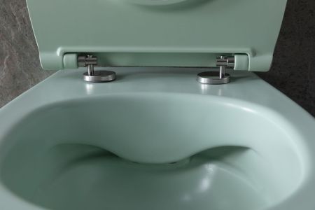 Чаша подвесного унитаза Allen Brau Fantasy 4.11004.MT мятный, артикул 4.11004.MT