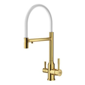 Смеситель для кухни с подключением фильтра Raglo R81.63.03, золотой сатин