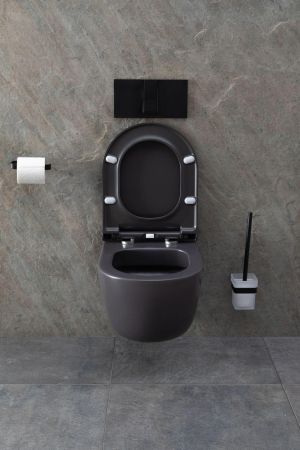 Чаша подвесного унитаза Allen Brau Priority 4.31002.AN антрацит, артикул 4.31002.AN