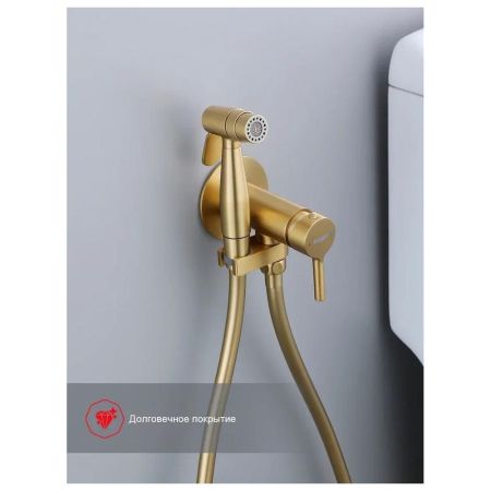 Гигиенический душ со смесителем встраиваемый Raglo R20.54.03, сатин золотой