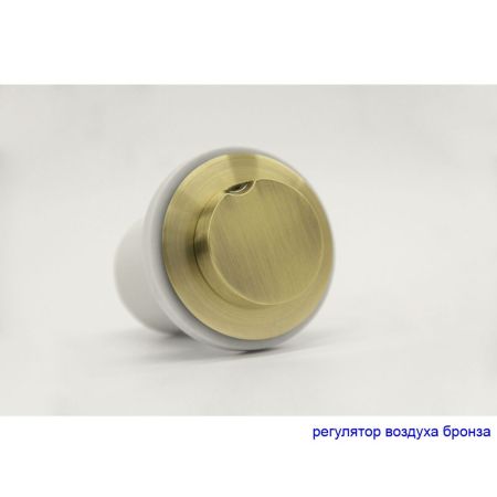 Ванна EXCELLENT Sfera 170x100 (правая) "LINE" (бронза), артикул WAEX.SFP17.LINE.BR