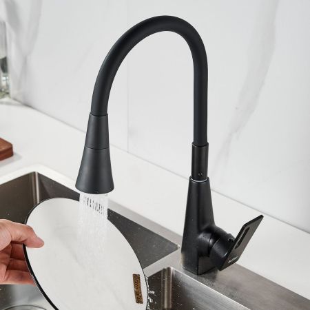 Смеситель для кухни с гибким изливом Raffine F313H-3, черный