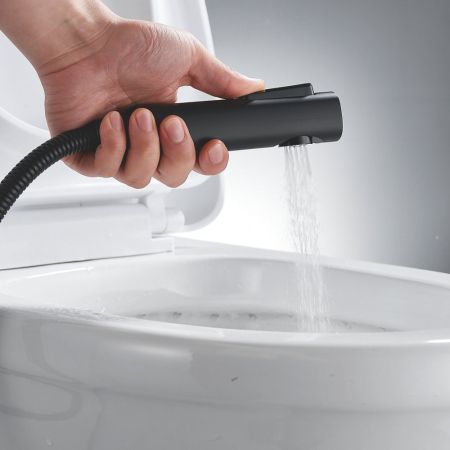 Гигиенический душ со смесителем Shevanik S4005H-1, черный