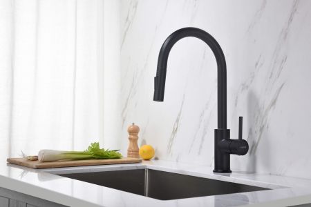 Смеситель для кухни с вытяжным изливом 2 jet AQUATEK, матовый черный AQ1384MB ЕВРОПА, артикул AQ1384MB