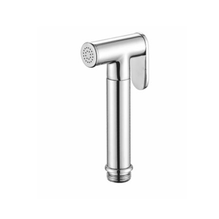 Лейка для гигиенического душа Raglo R460.03, хром